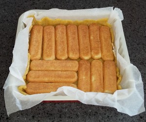 savoiardi sul fondo della teglia