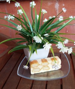 fetta di mattonella all'arancia